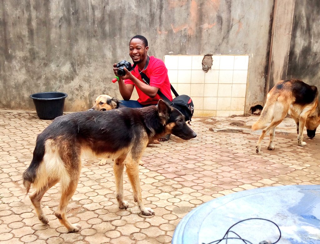 PetsRefuge's tweet photo. How dogs Spend their #COVID19 #lockdown , will #Lockdownextention be possible? Or will #imamofmorons keep trending?
#LadoimeDogs https://t.co/akXw4MBTuY