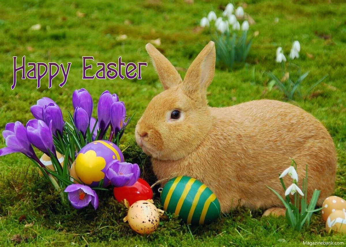 Happy Easter from the staff at Piqua Battery
