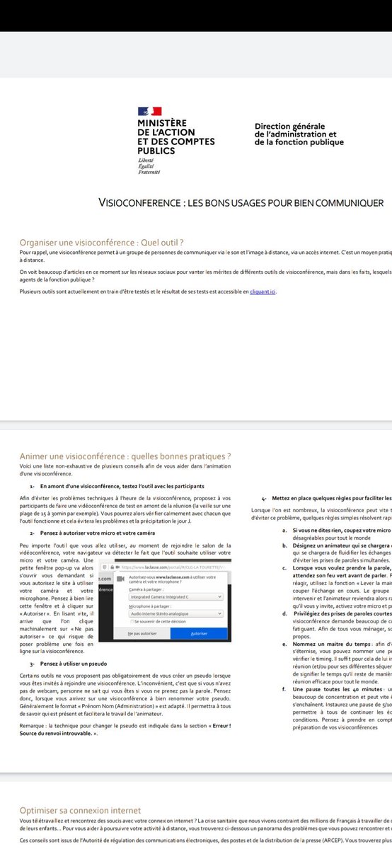 D'ailleurs, le ministère de l'Action publique  @dgafp a publié un petit guide pour bien animer des réunions à distance.