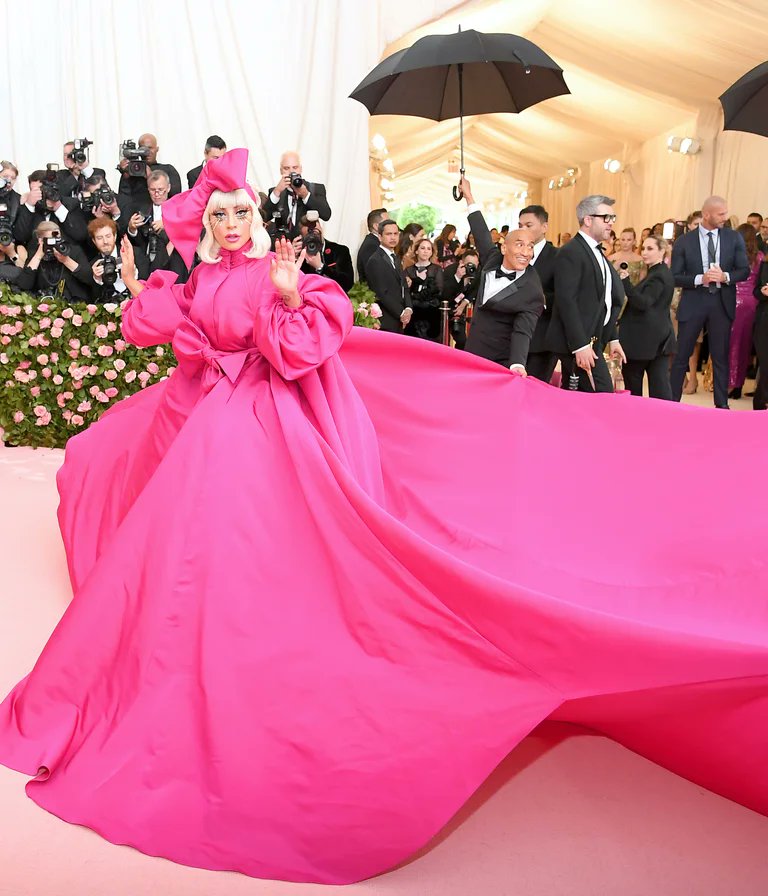 4. Lady Gaga does not shy away from an exaggerated red carpet look and her 2019  @Brandonmaxwell hot pink gown is no different. The ginormous and shapeless gown looks a lot like this wet mount of Amoeba proteus. Just me? No? I hope you see it, too.