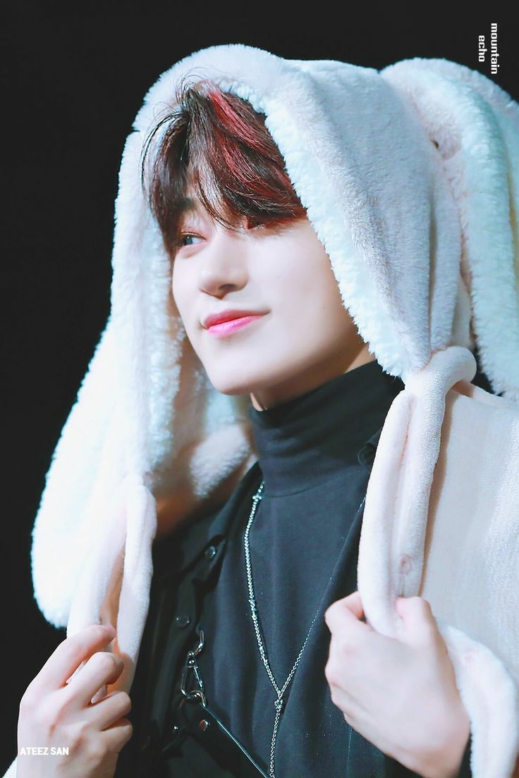 🐰