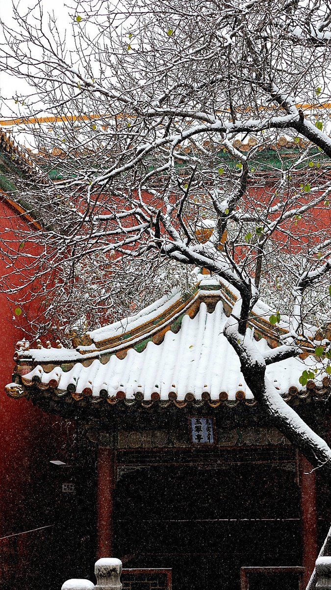 jackybian2's tweet photo. #China 
winter in China https://t.co/YybfwOtpAm