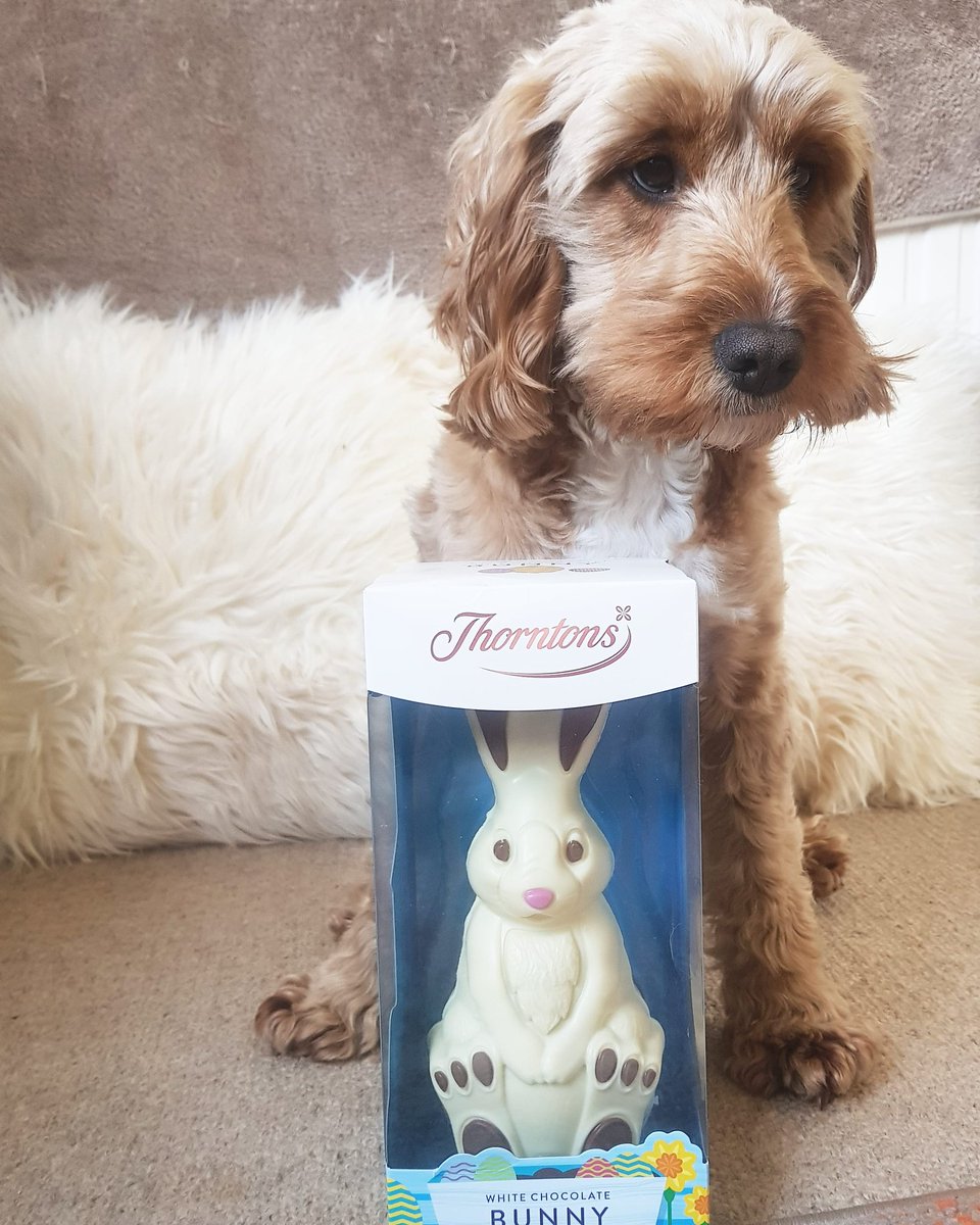 MaggieMates's tweet photo. Happy Easter x https://t.co/c8LlMmEBzO