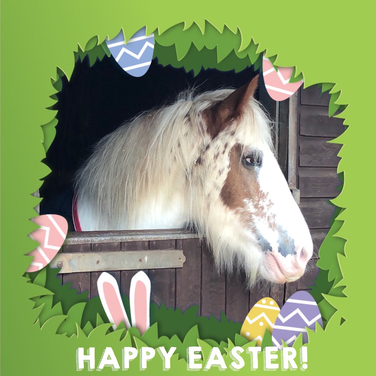 LowlandsRDA's tweet photo. Wishing all of our riders, volunteers, families and supporters a very happy Easter! We miss you and can’t wait to welcome you back soon. In the meantime, the horses are all being kept safe, healthy, loved and happy, by Charlotte and her amazing yard team. Stay well everyone! https://t.co/jVIO462A8d