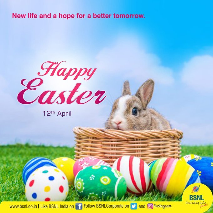 This #Easter rejoice for a new life and renewed vitality. #HappyEaster #Easter2020 #StayAtHomeSaveLives