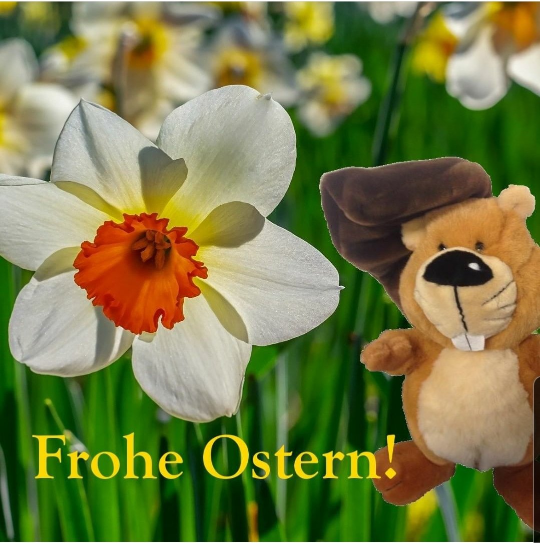 _BWINF's tweet image. Der #Informatikbiber und das #BWINF-Team wünschen allen Informatik-Talenten und Fans ein schönes Osterfest, auch in dieser schwierigen Zeit.