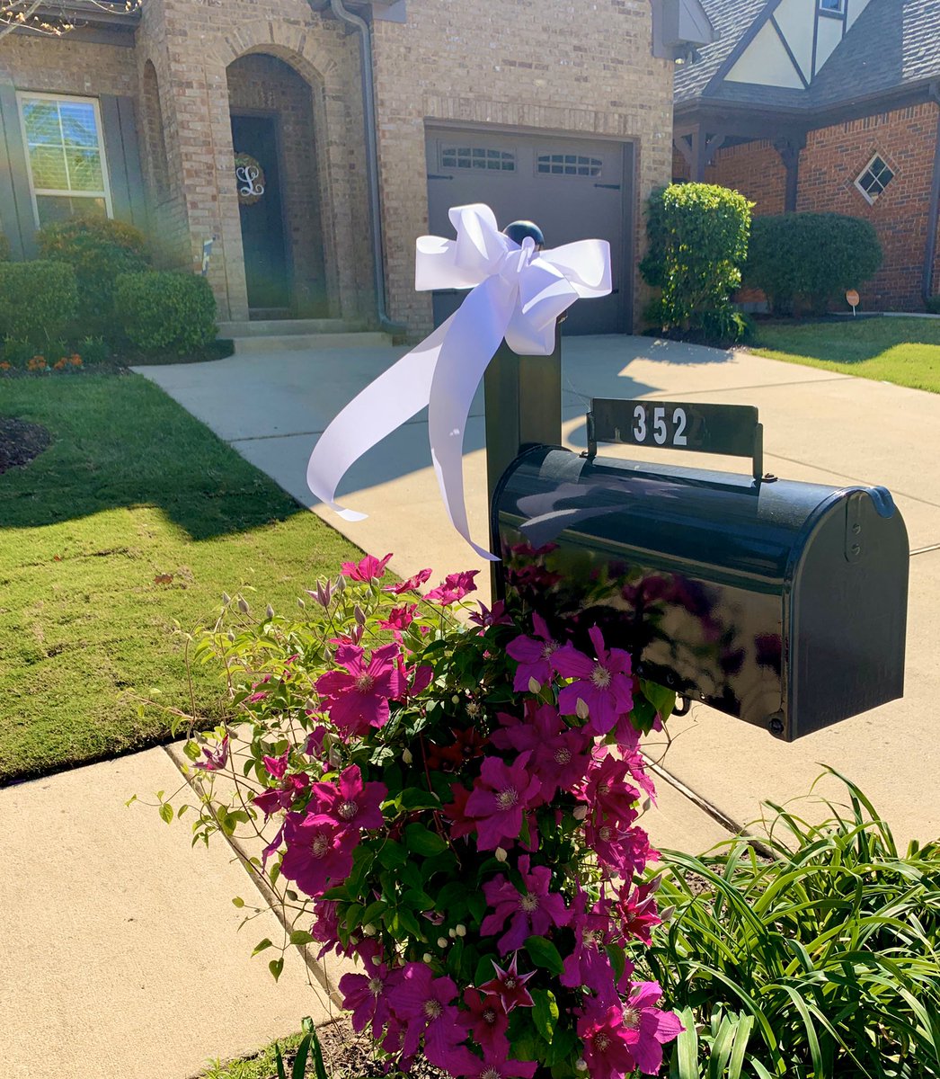 TheChemistryKat's tweet photo. I have the best neighbors 🎀 📫 #RibbonsOfHope #TogetherAlabama https://t.co/l0r9Ok39vs