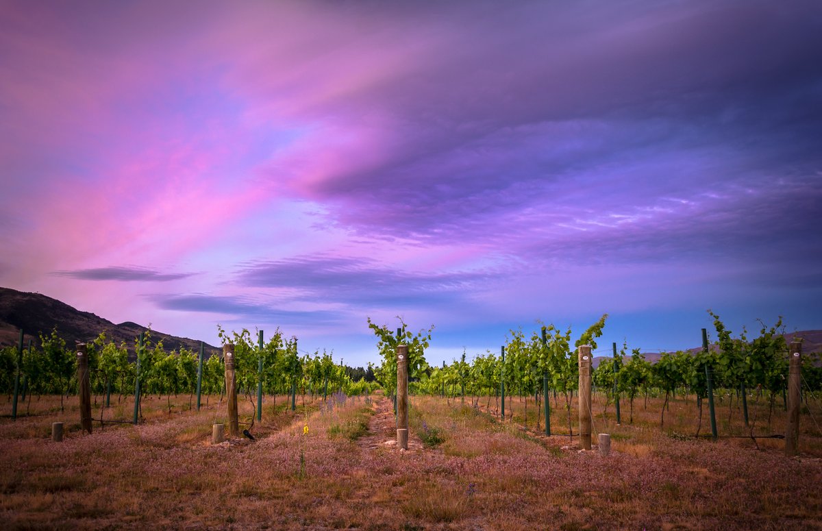 Or  @CentralOtago_NZ & the  @PureQueenstown  @lakewanaka_nz  #BitsOfNewZealand Yip, I'm a Mainlander through & through