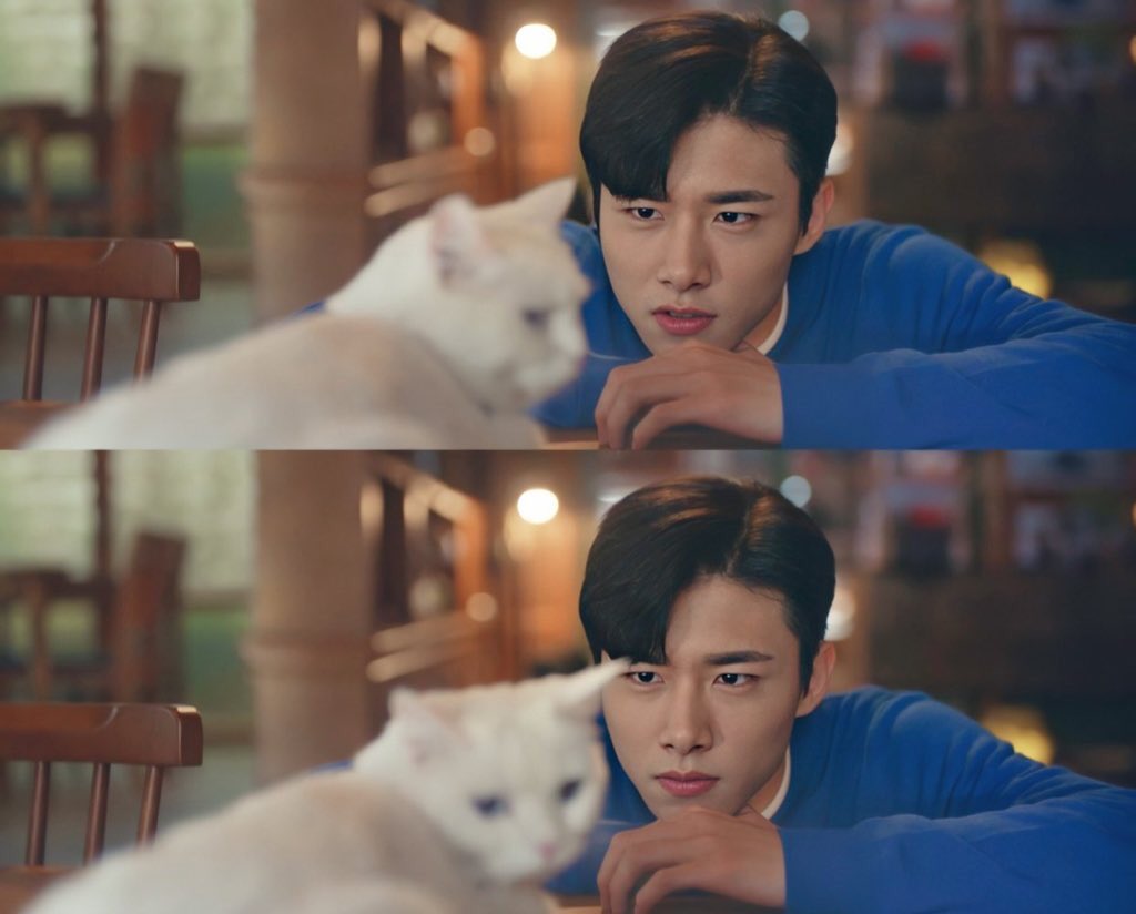 get you a man who can look at you like the way seojihoon look at the cat