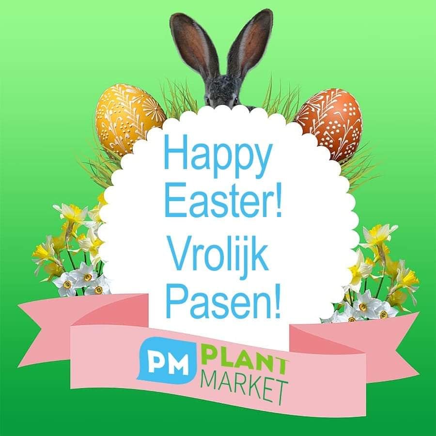 Vrolijk Pasen iedereen!🐣🐇 Geniet lekker thuis in je tuin en stay safe! 🌻🌱 #vrolijkpasen
_________________________________
Happy Easter! 🐣🐇 Enjoy yourselves at home and stay safe! 🌻🌱 #happyeaster #staysafe #enjoyyourplants #plantmarket