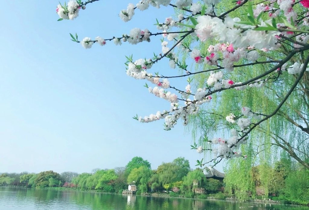 river_capricorn's tweet photo. #China xihu.hangzhou. https://t.co/3cKoP1mVys
