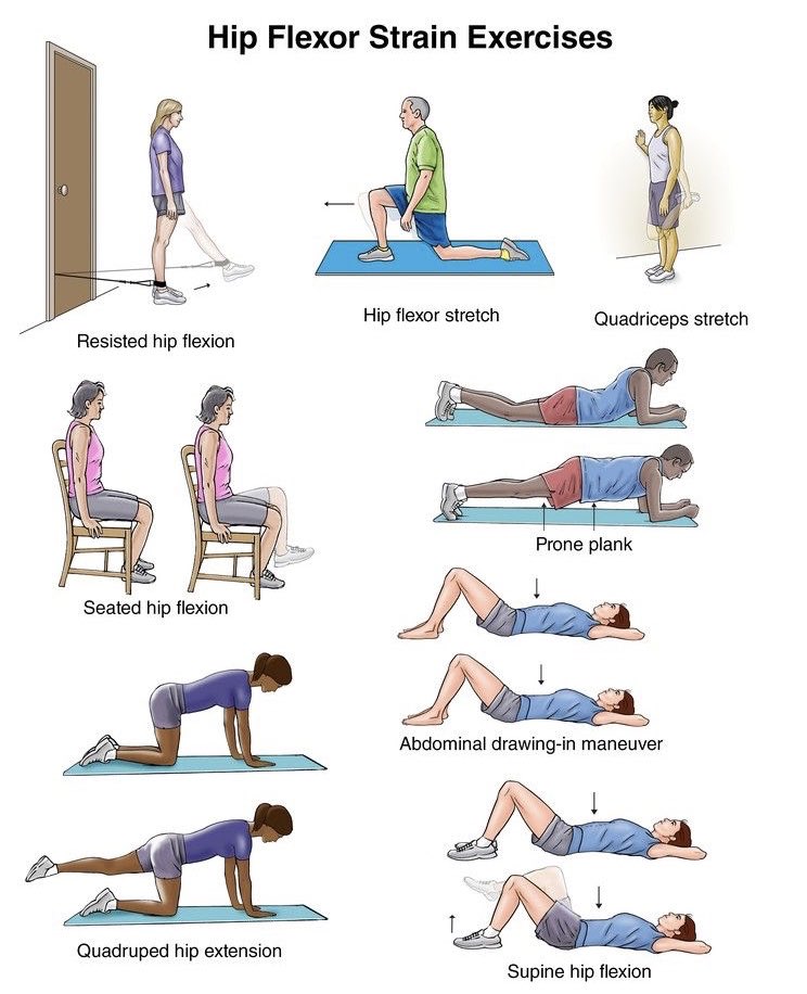 PhysioOsteoTweets on X: HIP FLEXOR STRAIN INJURY ⠀ [REHAB EXERCISES - SELF  TREATMENT] ⠀ On the picture you can see several rehab exercises which  should be done as a daily training routine