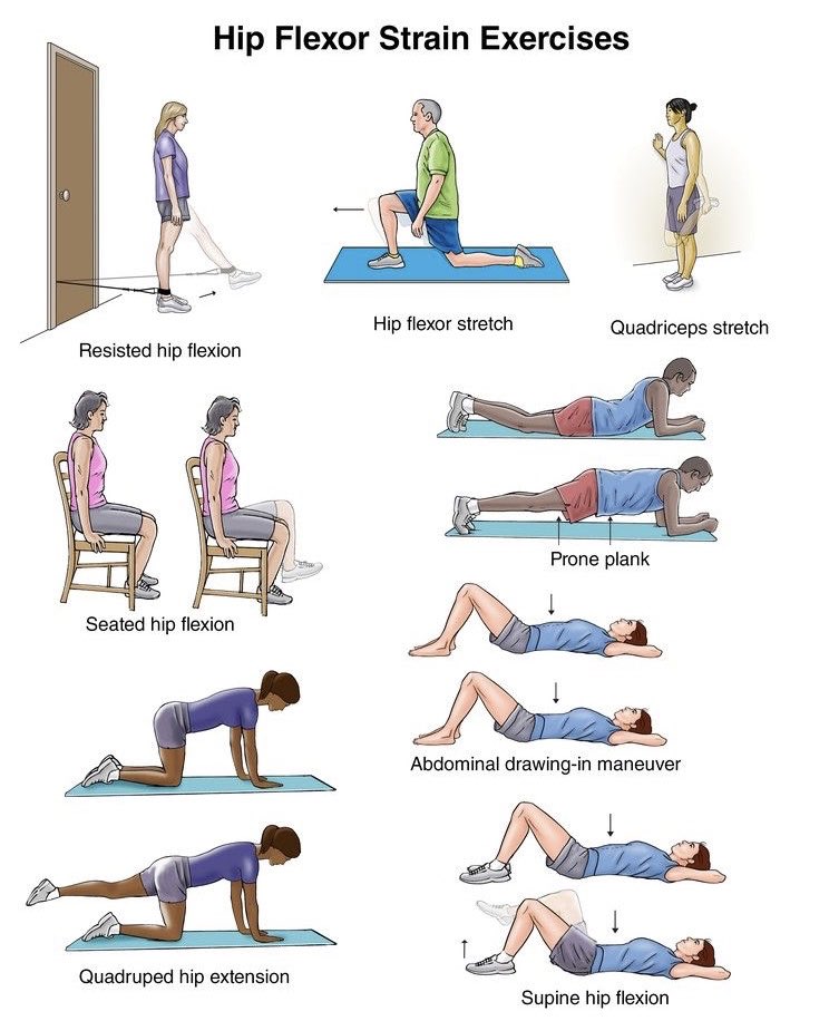 PhysioOsteoTweets on X: HIP FLEXOR STRAIN INJURY ⠀ [REHAB