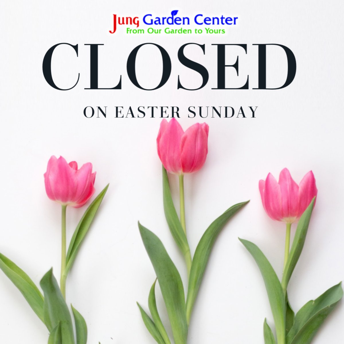 Jungseed Com On Twitter Let Easter Bring You Hope And May It