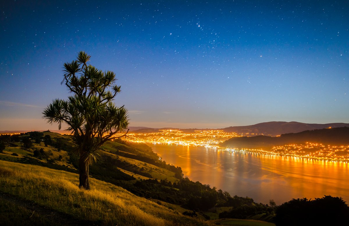 Right folks, off for my midnight  #PaulsWalk on Otago Peninsula, continue this tomorrow. So here's some Otago Peninsula  @Lovedunedin at night #BitsOfNewZealand Take care all, be safe, and think of the rewards we will have when we are out of  #Lockdown  #NZLockdown  #COVID19nz