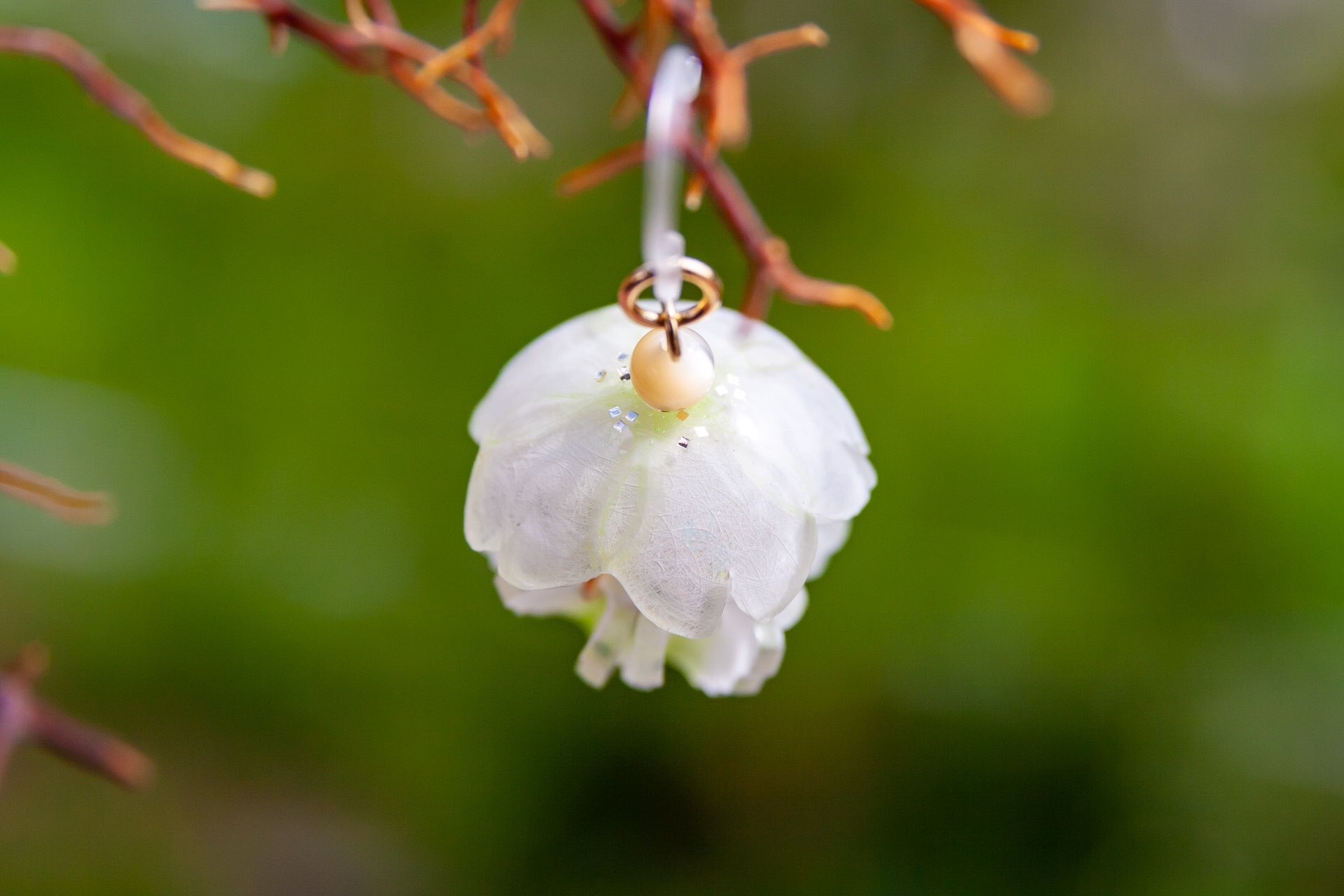 Hoccolie いきもにあh 144 引越先に木がありました 幹は桜に似ています 咲くのかな 楽しみにしていると 若葉が生えてきました 桜じゃないのか ところが後日 白い花が次々と 葉と花が一緒に開く 大島桜だったのです 知らなかった Hoccolie いきもにあh 144 引越先に木がありました 幹は桜に似ています 咲くのかな 楽しみにしていると 若葉が生えてきました 桜じゃないのか ところが後日 白い花が次々と 葉と花が一緒に開く 大島桜だったのです 知らなかった