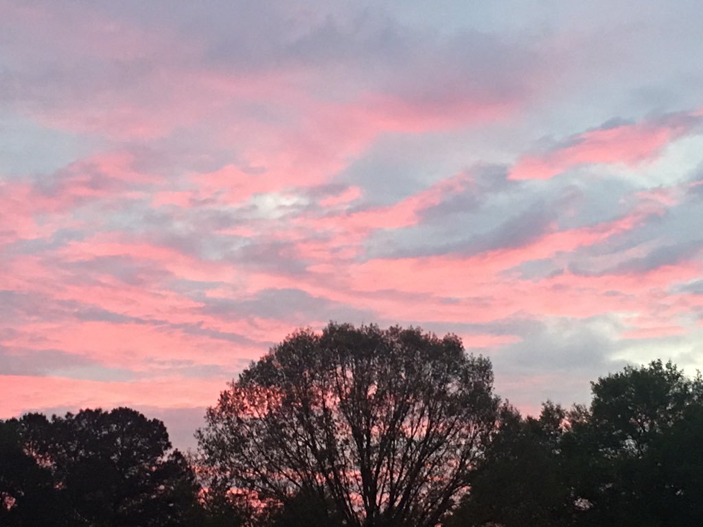 Chris Bennett tweet media