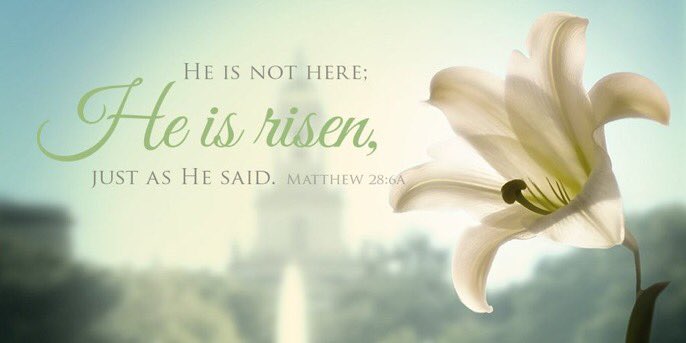 Baylor's tweet photo. He is Risen!!!!

Happy Easter, #BaylorFamily! https://t.co/TFZKH5T78I