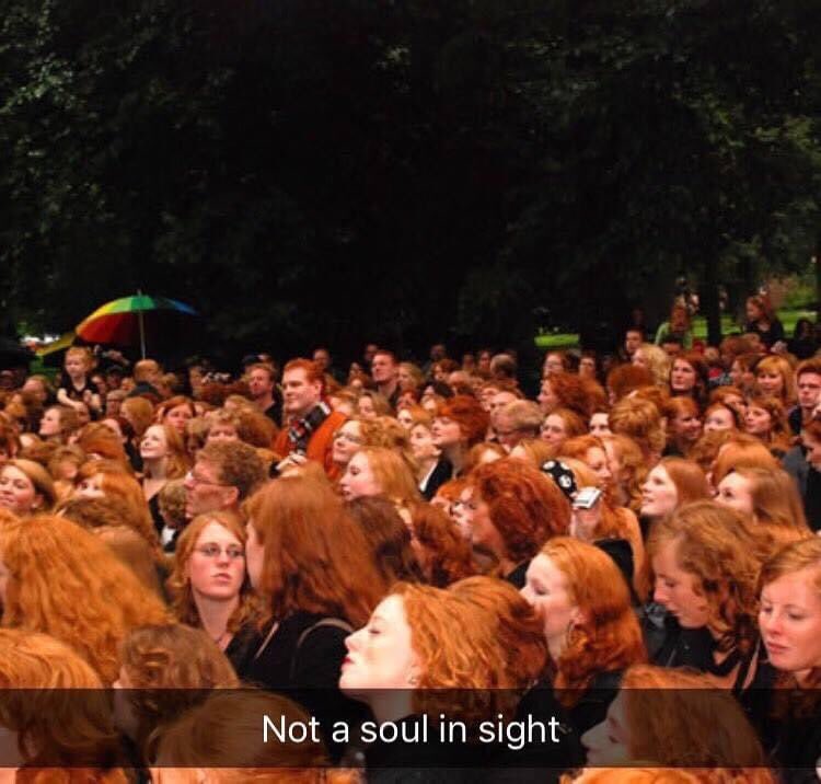 SocialAssassi13's tweet image. 😂😂😂 #nosouls #ginger