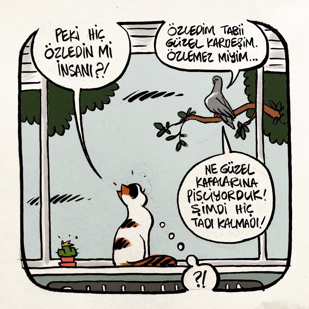 İnsansız Hava Sahası #sokağaçıkmayasağı 🐾