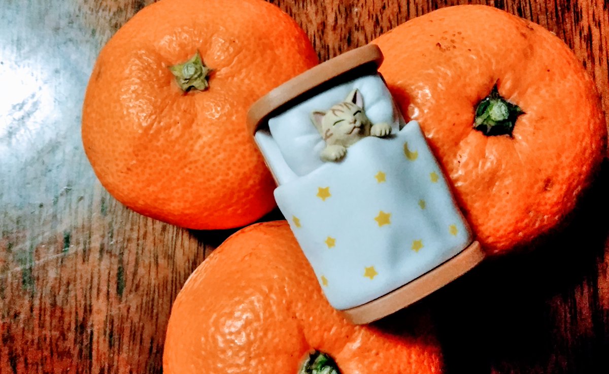 コロナ夜には つで皆さんおやすみかん 明日も5時起き寝る前はいい事妄想すると免疫力を高める睡眠に突入できます W Zzz 04 12 神楽坂ねこの郵便局というなまえのお店