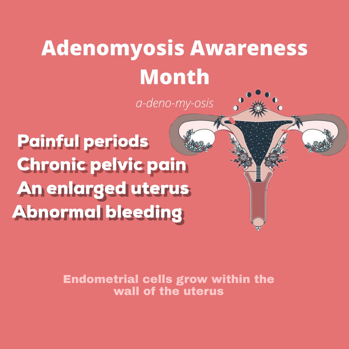 April is #adenomyosisawarenessmonth
#uteroo_za #uteroo #periods #menstruation #girltalkza