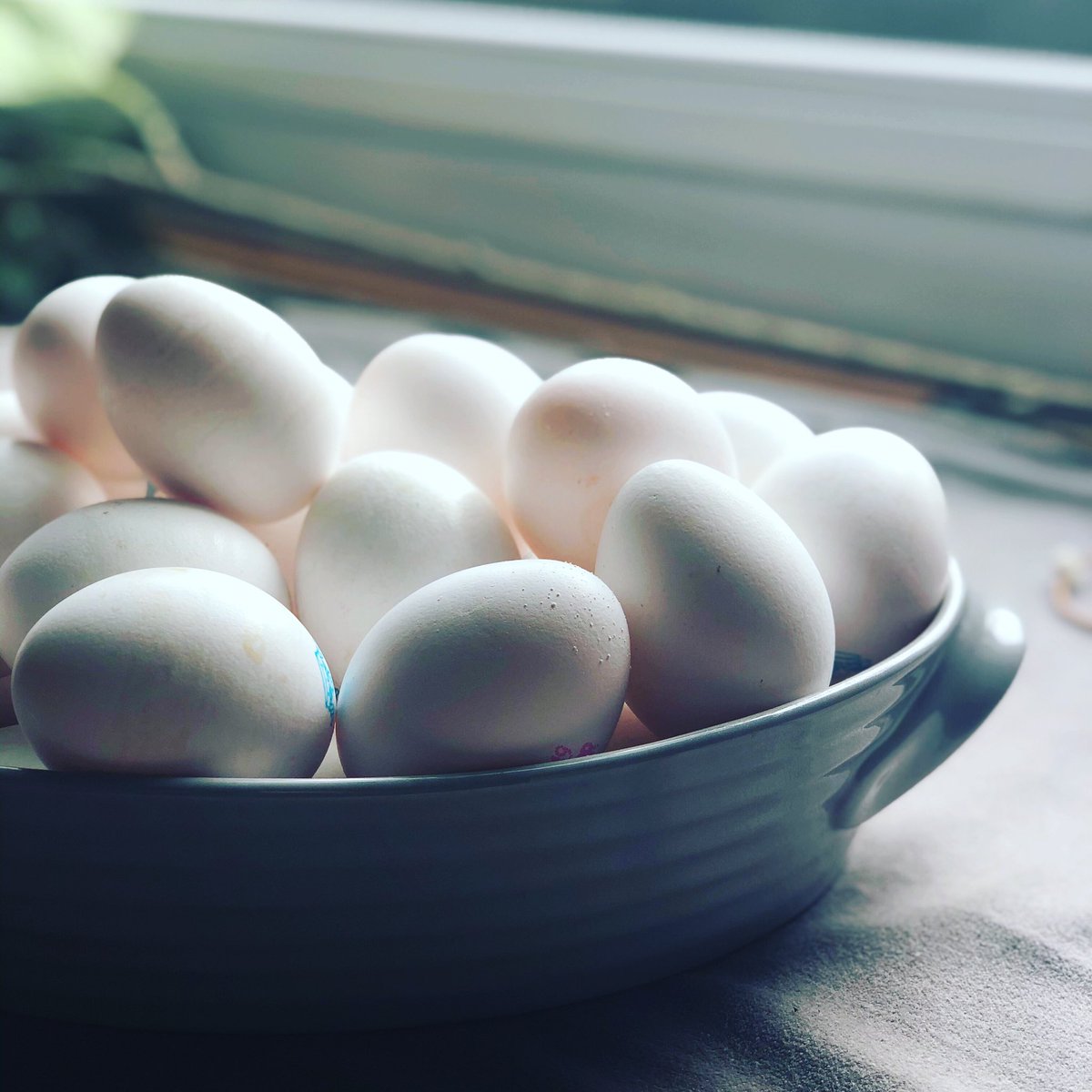 Happy Easter everyone! We can’t wait to see you all very soon! 💜 stay safe &amp; eat lots of chocolate! #Easter #happyeaster #eggs #chocolate #easterbunny #cafe #bromley #sundridgeparkvillage #lockdown2020 @clarence_court