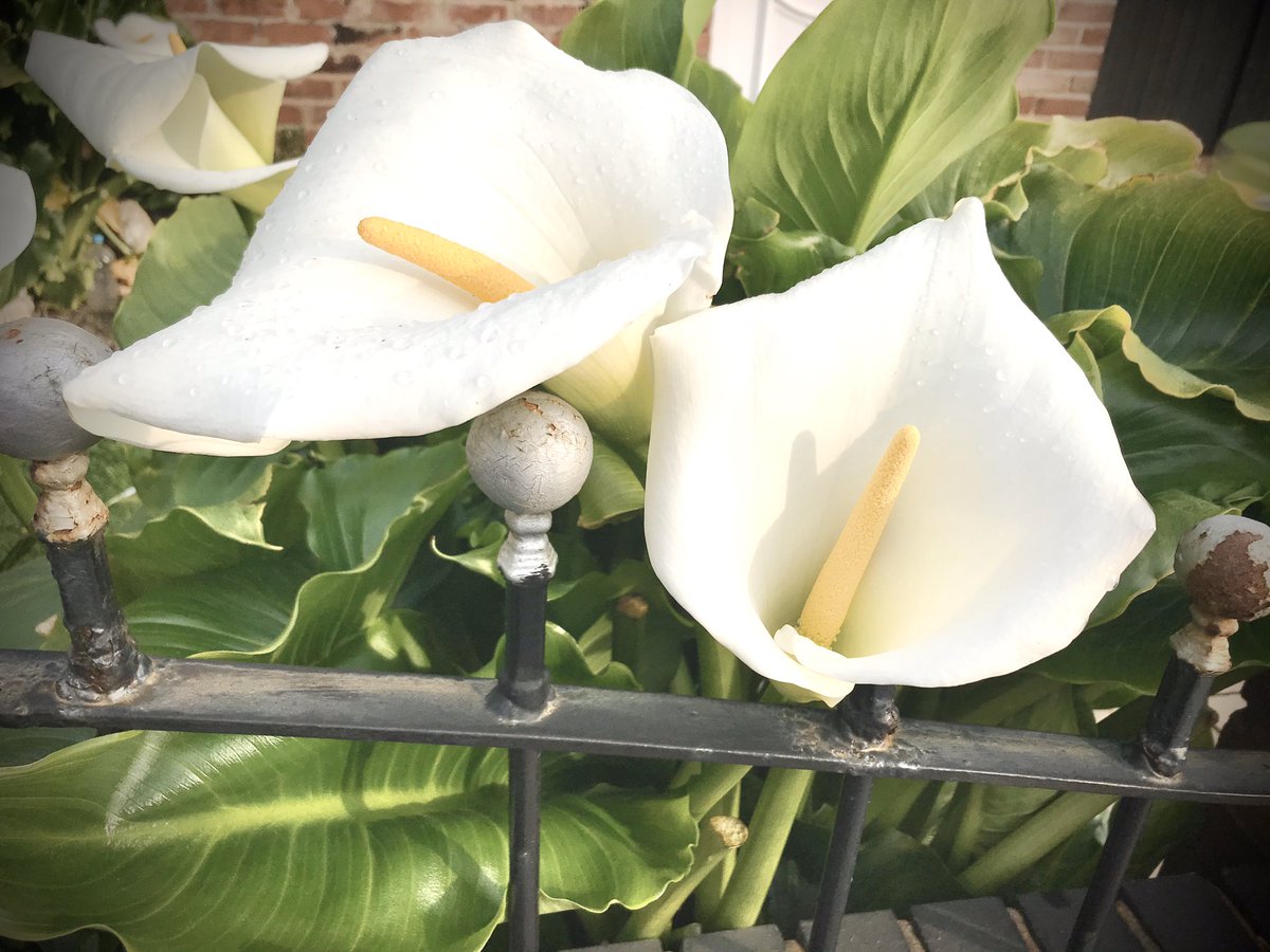 Easter blessings to you today! Here are some early morning pictures from the area, including the only cross I could find! #OldSwan