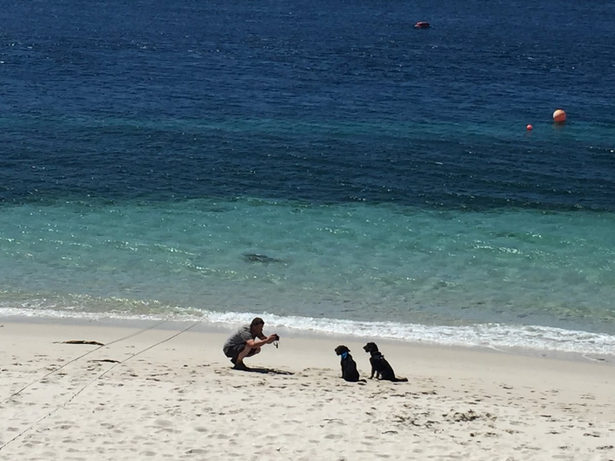 BarrieHowes's tweet image. Thinking of you ⁦@bryhercampsite⁩ keep safe