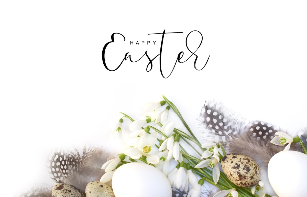 boardoftrade_'s tweet photo. Happy Easter from the St. John’s Board of Trade staff, Executive and Board of Directors. Stay safe and have a wonderful Easter Sunday.
#inthistogether #happyeaster #happyvirtualeaster #family #celebrate https://t.co/O284wnM5Ih