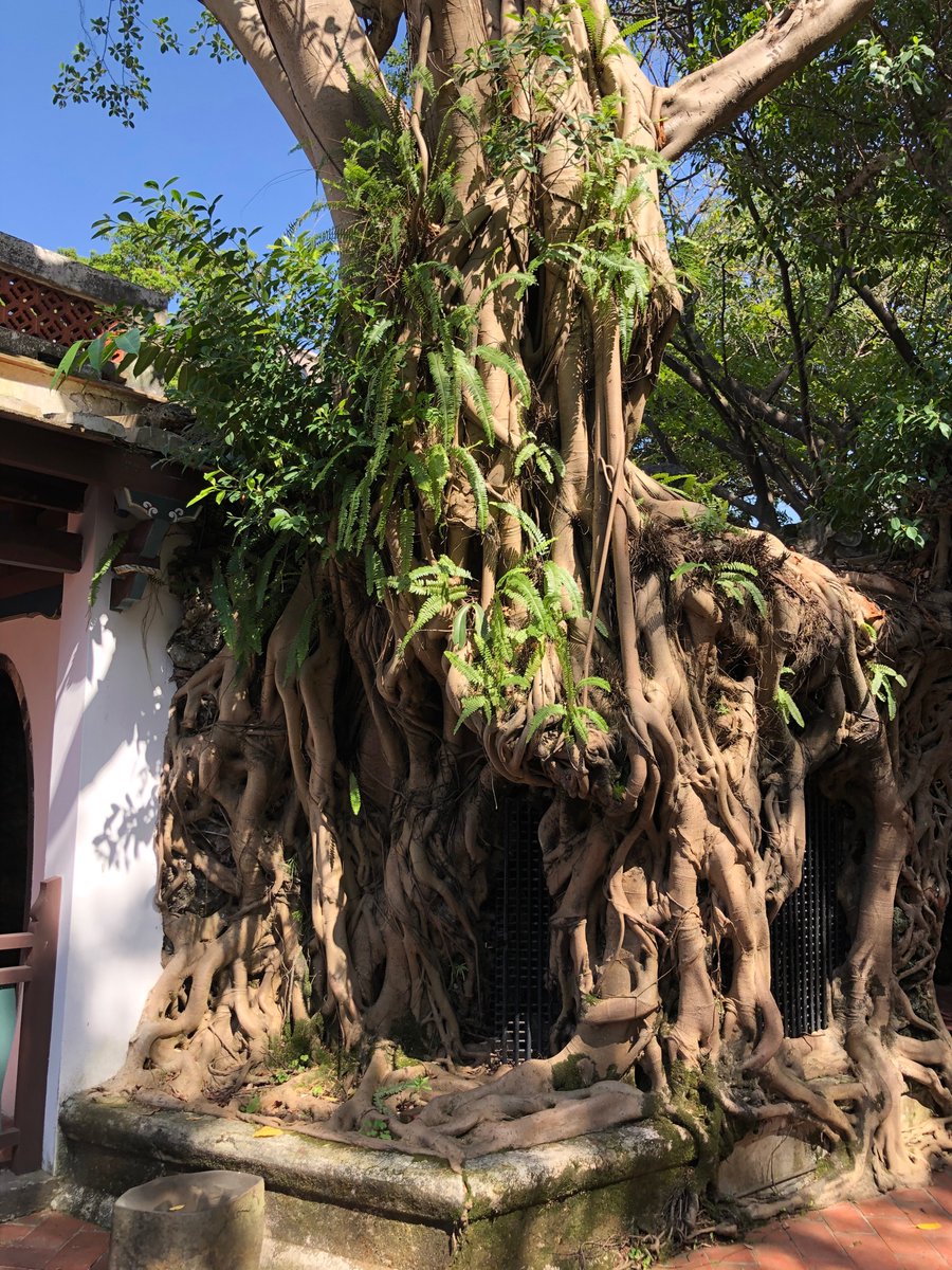 huachingi's tweet photo. https://t.co/jTEbfkoxrJ