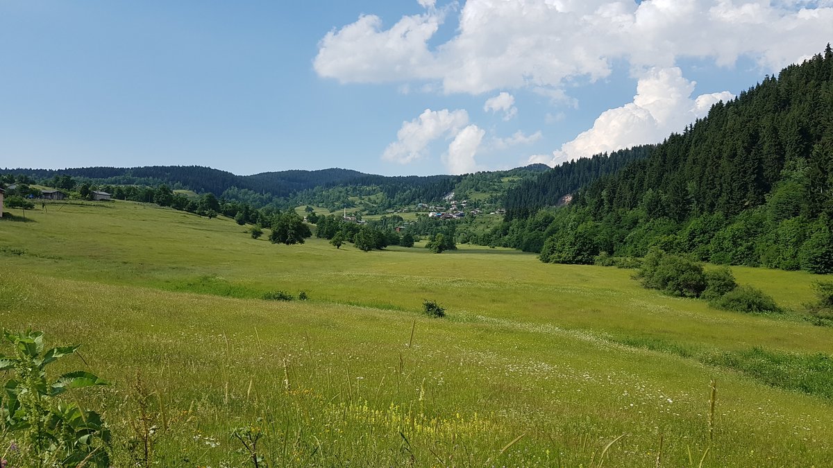 Artvin Şavşat Meşeli köyünden görsellerim.
Temmuz 2019.