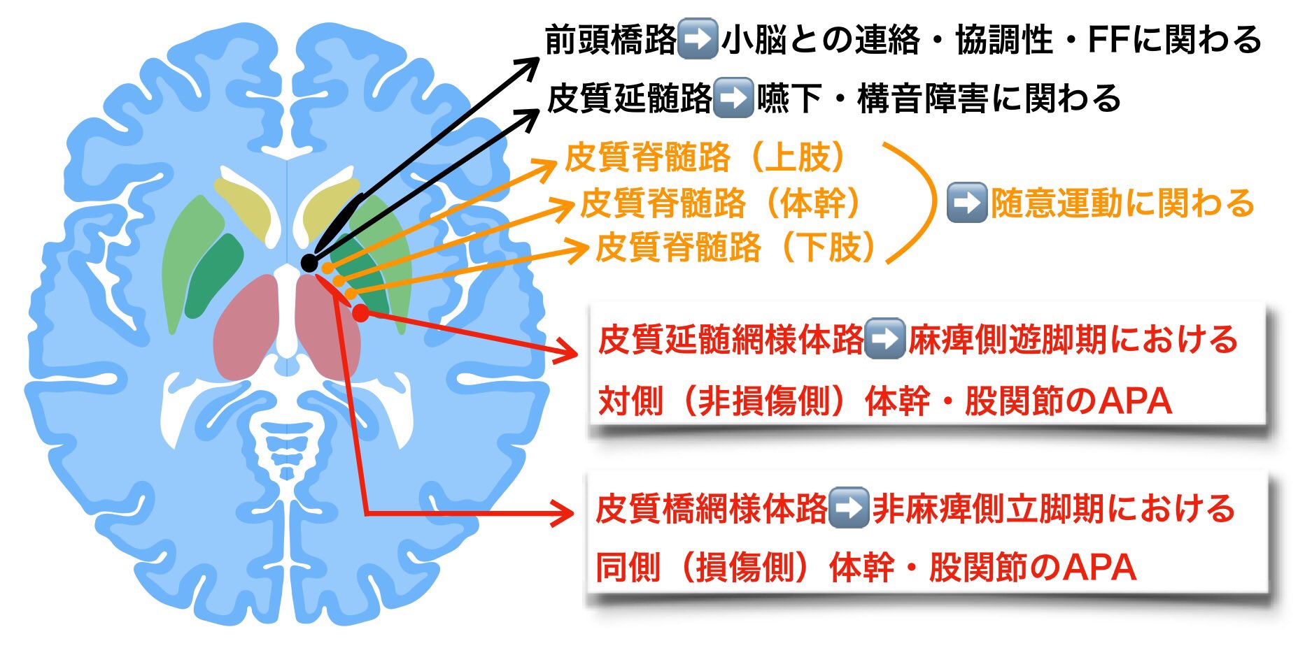 むっくん臨床のコツをカタチに on Twitter