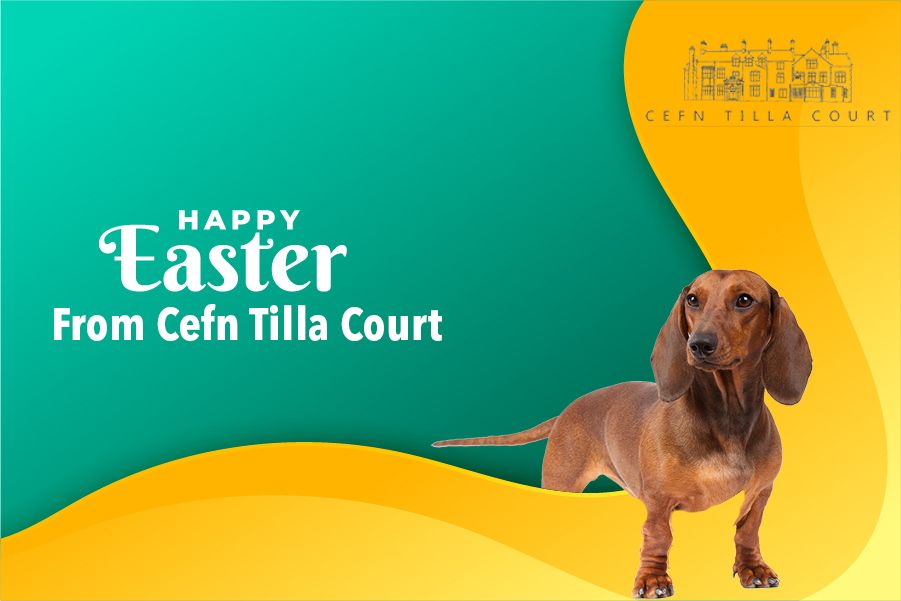 Have a safe and well Easter from the team at Cefn Tilla Court.

#Monmouthshire #weddings #countryhouse #lake #gardens #outsideceremony #WeddingvenuesWales #weddingvenue #bride #imgettingmarried  #weddingplans #weddingplanning #weddingvenue #Monmouthshire #BestWeddingVenuesWal...