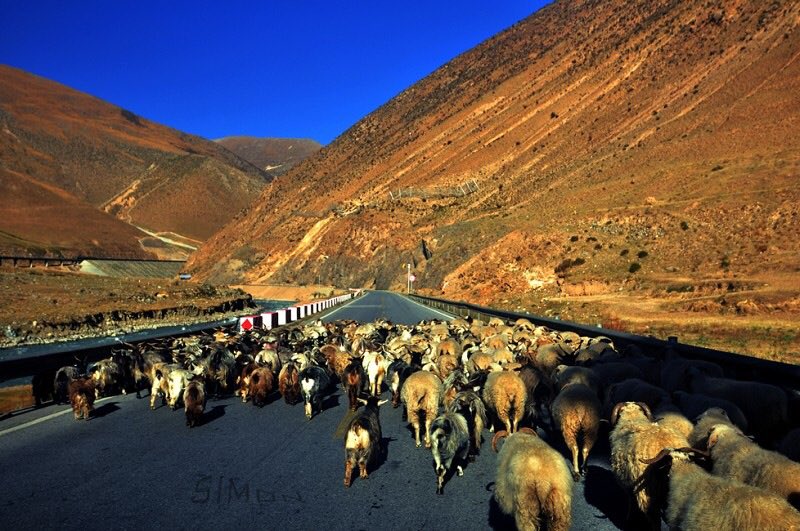 MegroliaZ's tweet photo. my home 🏠
my motherland🥰🥰🥰
welcome to China🇨🇳

 #China https://t.co/NbuzviofwN