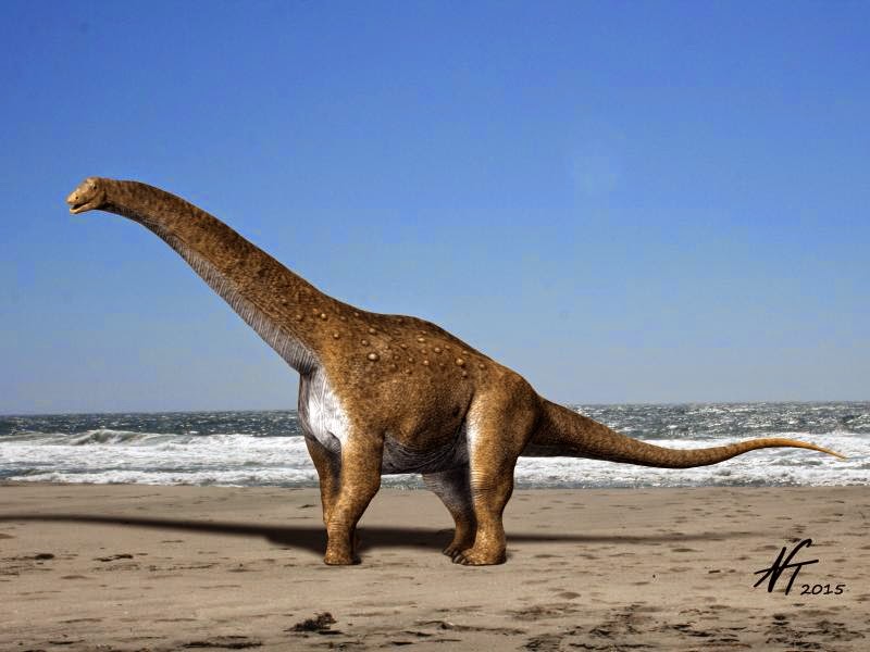 Hypselosaurus (meaning 'highest lizard') was a titanosaurian sauropod that lived in France. In 1846, Hypselosaurus eggs were the first dinosaur eggs to be discovered, but they were not recognised as being from dinosaurs for several decades, being mistaken for giant bird eggs!