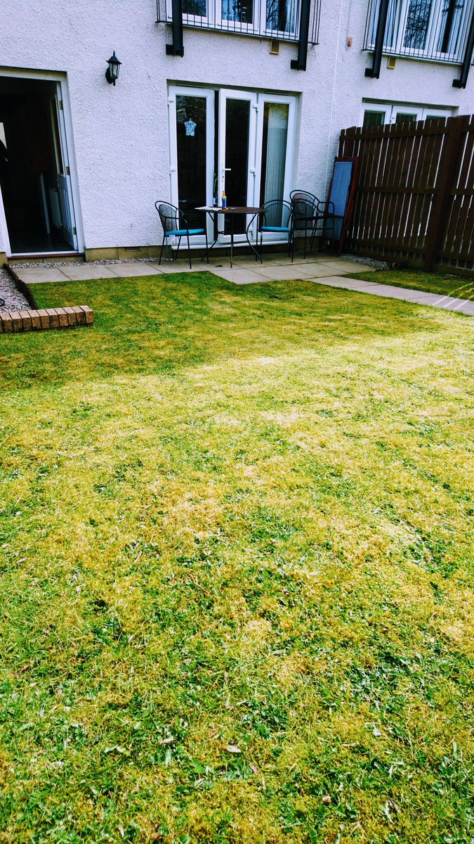 marksadams11's tweet photo. Cars not moved for over a week and the grass was hardly needing it but I couldn't help myself 🤣 🤣 #coronavirus #bored #jobstodo https://t.co/kmCywgvJvv