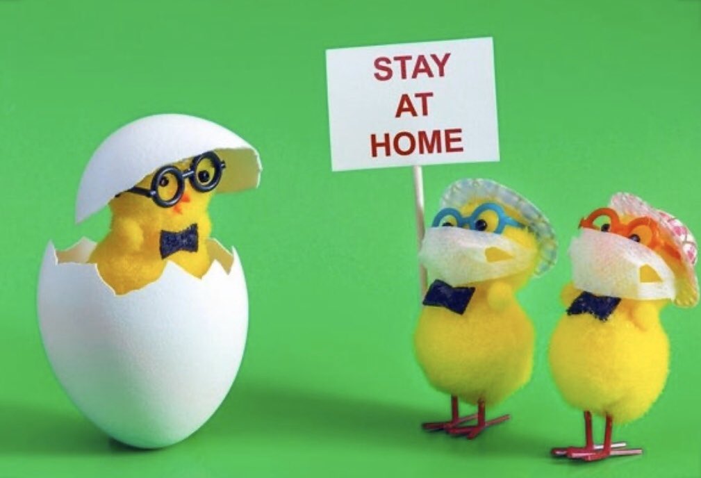 shomac6's tweet photo. Happy Easter ❤️ https://t.co/F6UazDaaj2