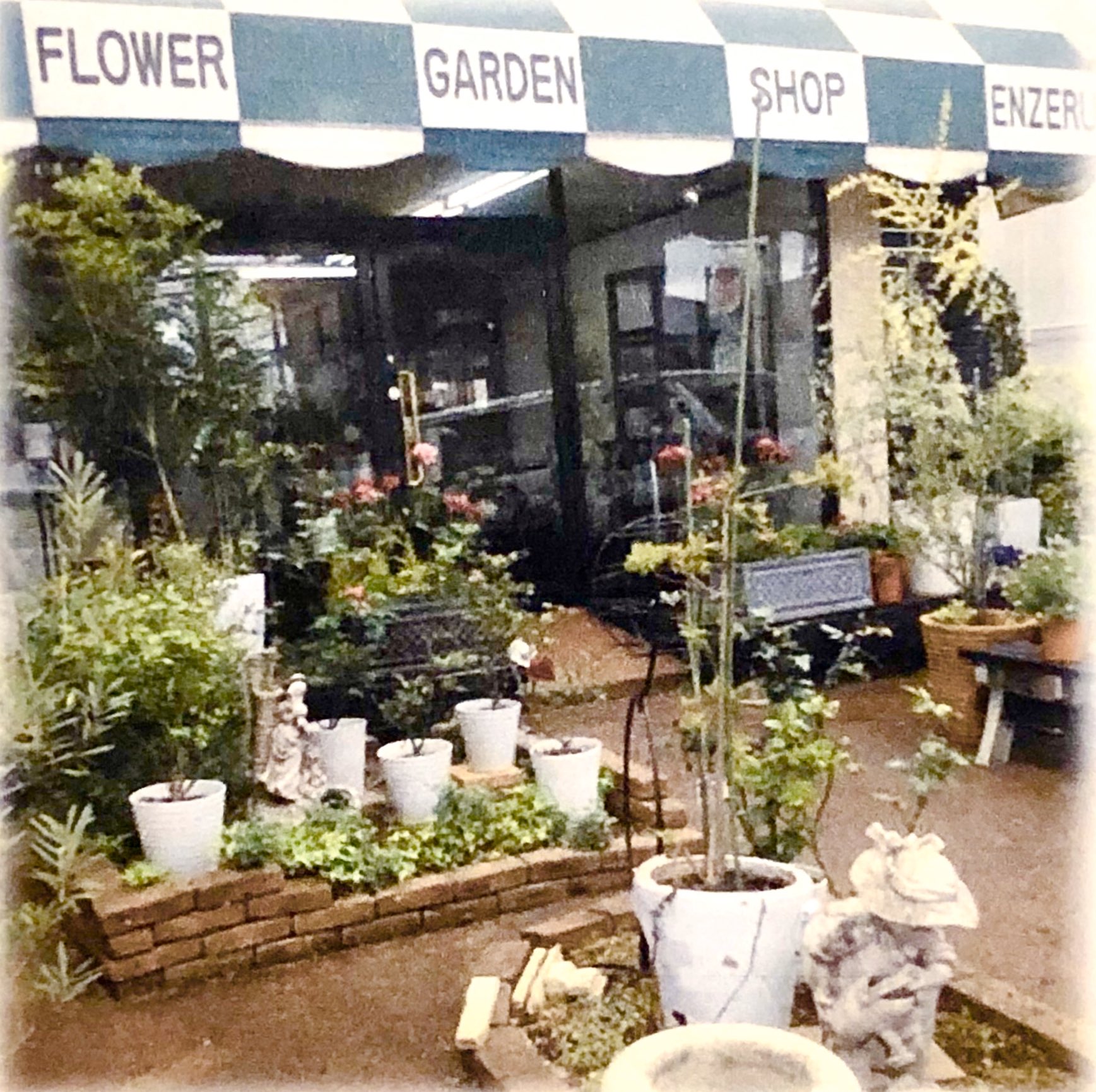 千葉のお花屋さん エンゼル Flowerdinosaur Twitter