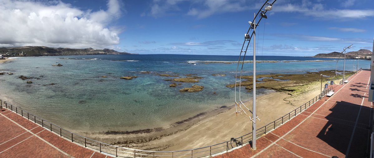 Mi playa de Las Canteras 🏊🏻♀️🦈 tweet media