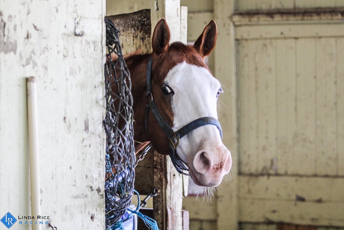 Dallas &amp; all of us at Linda Rice Racing wish everyone a very happy and healthy Easter!