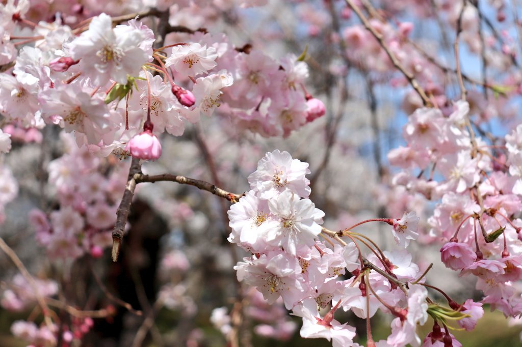 村松公園