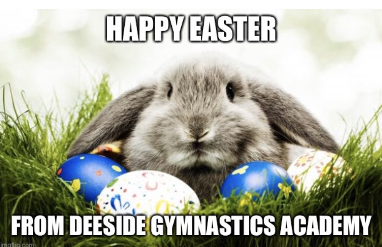 Happy Easter to everyone 🐣