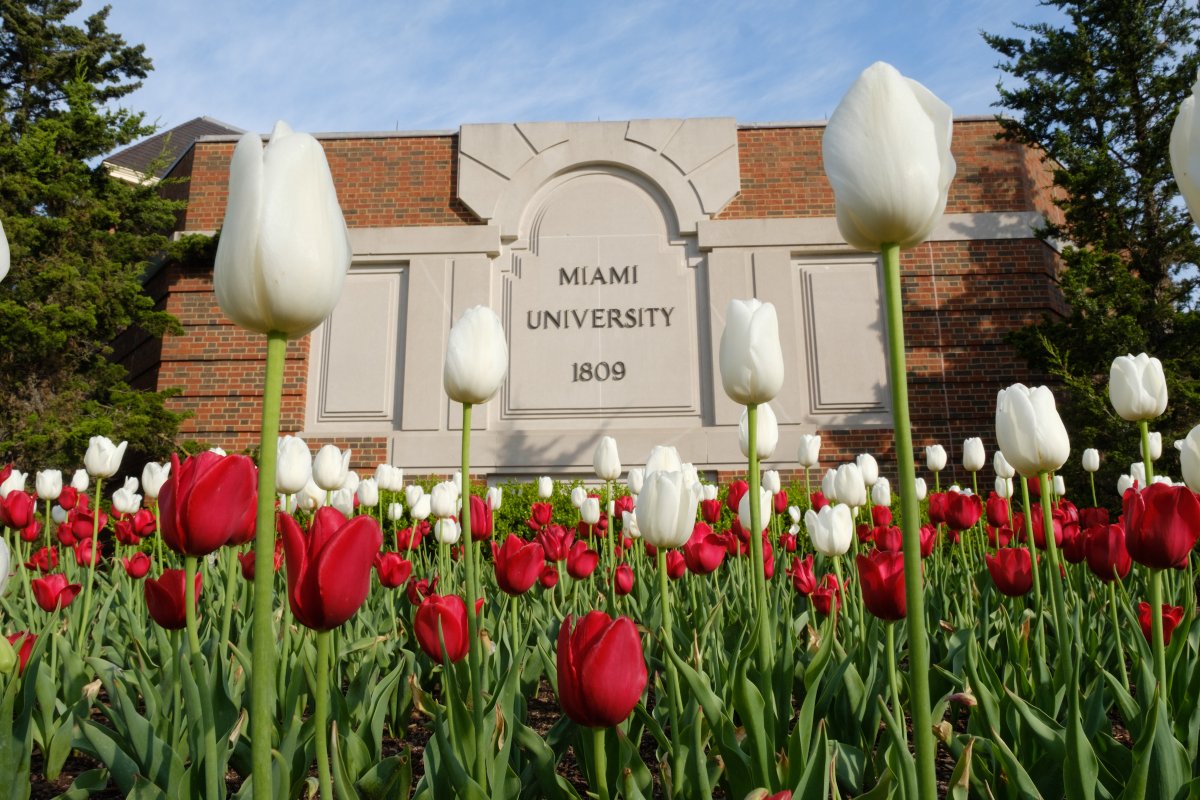 Wishing a Happy Easter to those who celebrate! 🌷

#MiamiOH #LoveAndHonor #MakeItMiami #Easter
