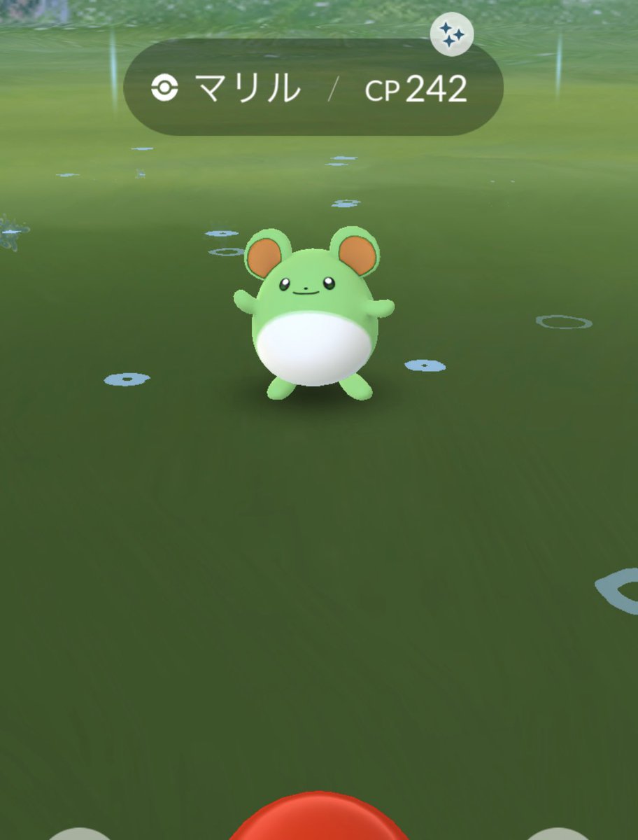 かなめ On Twitter ポケモンgo Goバトル デイのマリルは2 4で色違いでした ただ伝説持ってないのでボコボコにされてレート が100も下がったし ディアルガ ギラティナ カイオーガ メルメタル 辺りをpt組んでやらんとマスターリーグはほぼ勝てないってのが所感やな