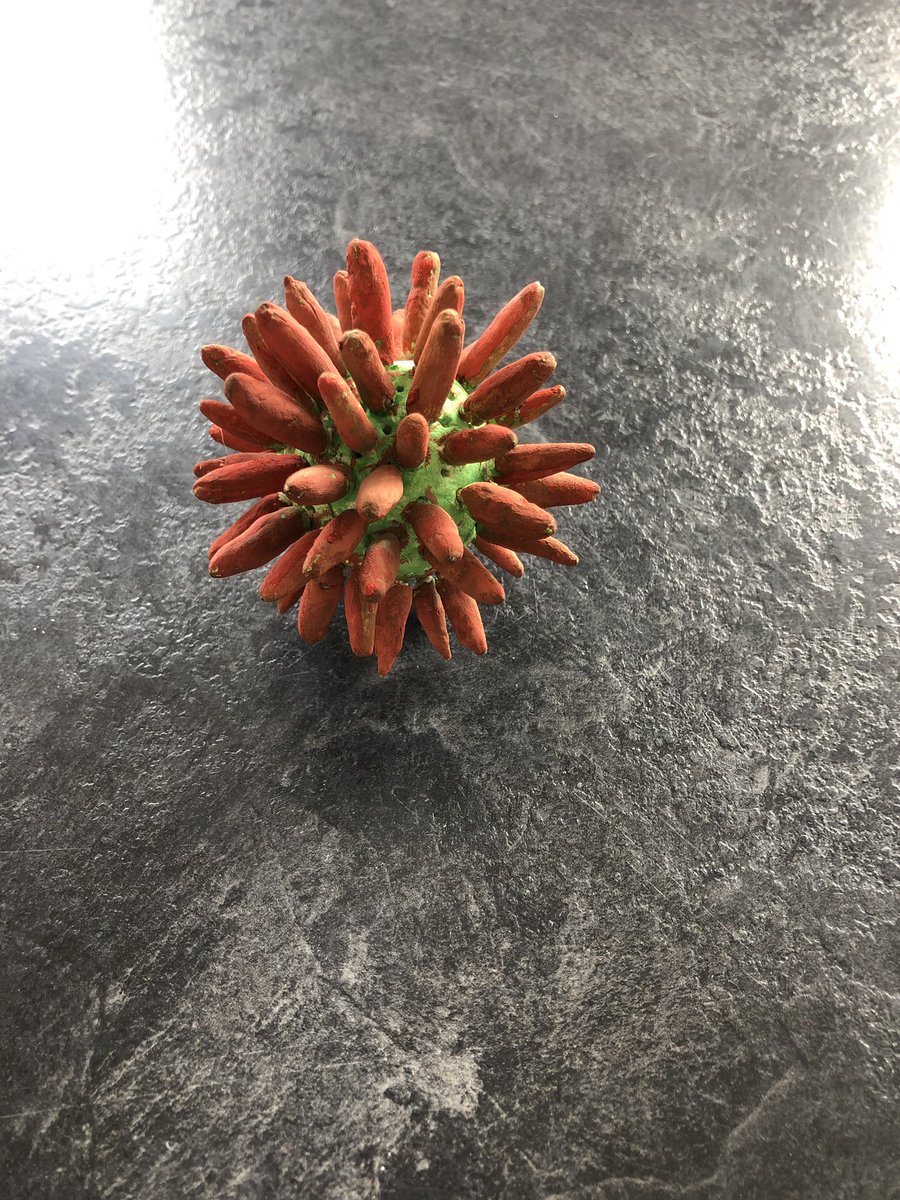NickKingTweets's tweet photo. 43 today. Mini Kings marked it with my own Coronavirus. At least they’ve used lockdown productively... https://t.co/4IllmbS9Ay