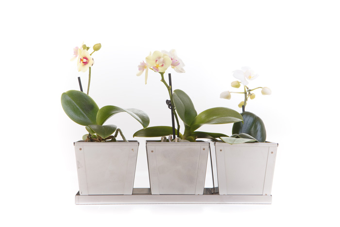 Our online planter store has had a makeover! We wanted to give our customers a great shopping experience, so it's now easier than ever to find a planter that suits both your needs and style. Explore our collections for yourself ow.ly/tcKb50z7G3F #gardening #homedesign