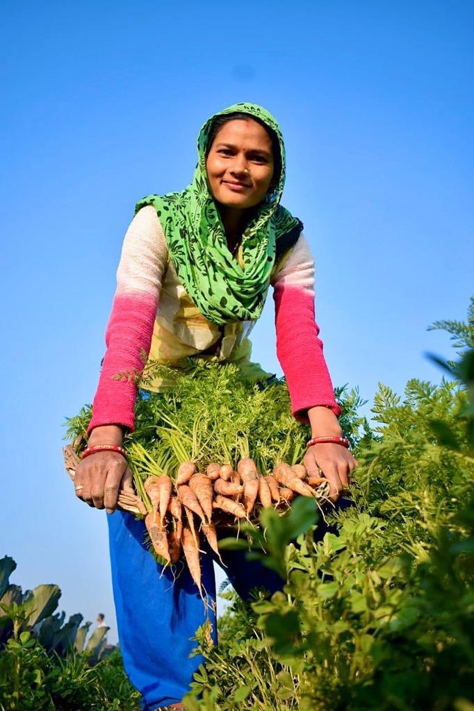 This Delhi cluster’s supplied 13T of vegetables including 2T during lockdown! ‘Food security’ should in future include such clusters around cities.  @Rockefellerfdn has shortlisted  @naandi_india for the Global Vision Prize.Full disclosure: I serve as chair of  @naandi_india (5/5)