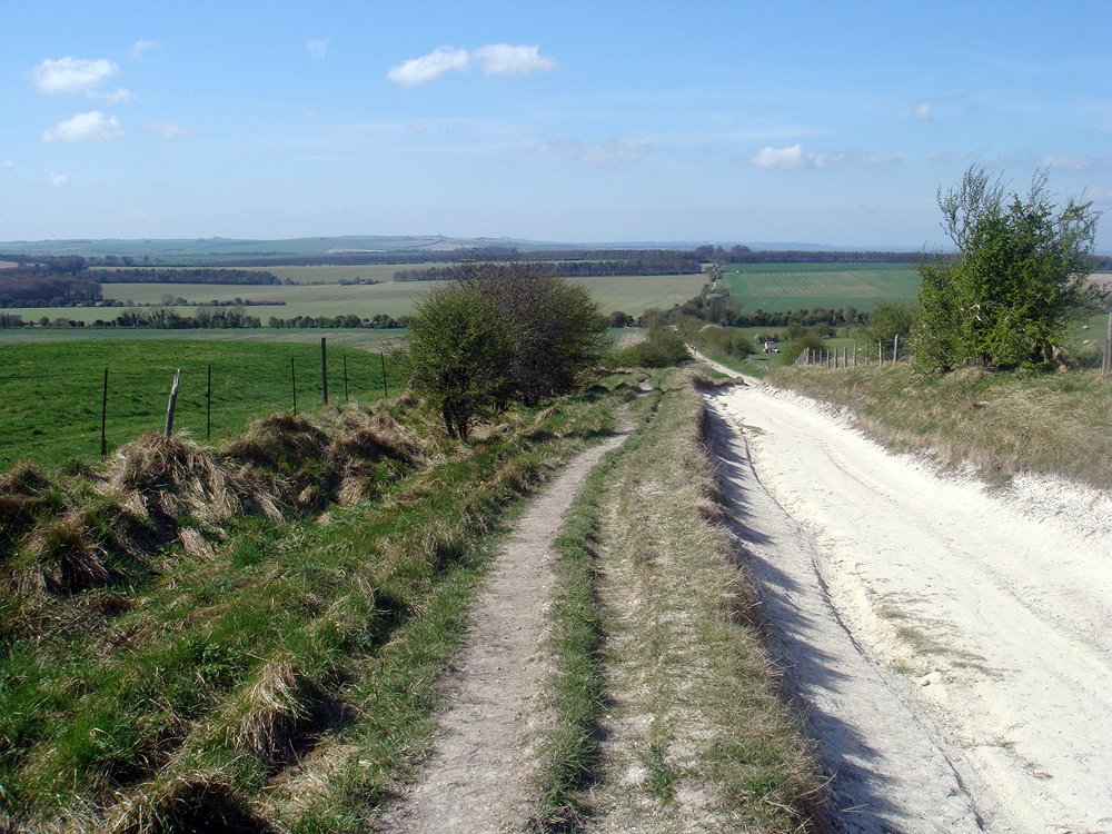 11 years ago, my husband and I decided to walk The Ridgeway National Trail. We divided the trail into 12 sections & walked one section per month, starting in January 2009. I took photos along each walk & these photos became the backbone for an exhibition.  #virtualridgeway