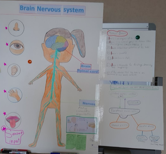 Shammerberg77's tweet photo. Loved hearing learners share via Zoom. Their self-management skills have blown me away. So many amazing videos, podcasts, posters, recipe books and more to demonstrate their understanding of body systems and the lifestyle choices that can affect them @SFS1912 #SFS1912 https://t.co/27hj5EQlrD